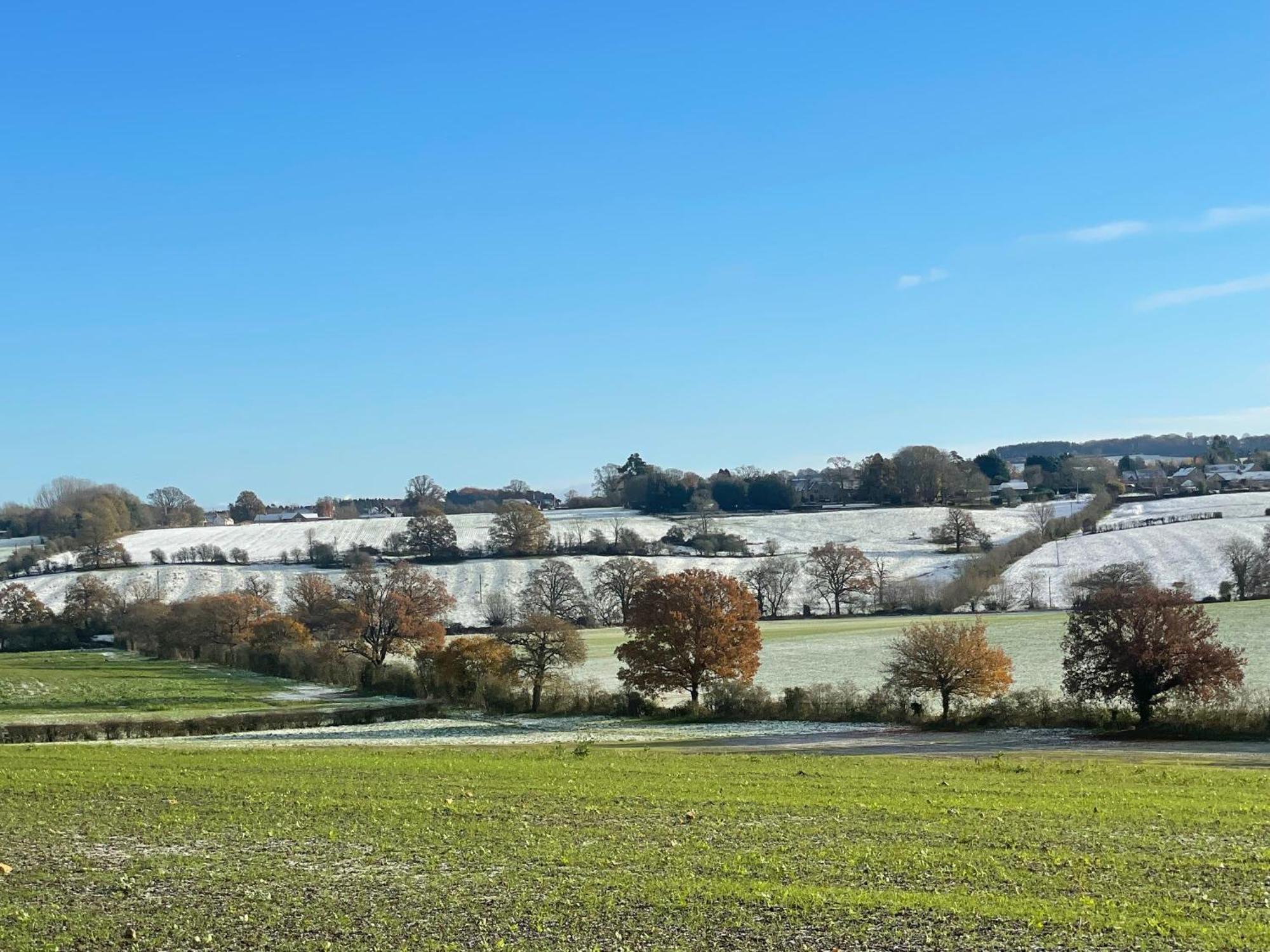 Bank Cottage Studio - Luxury Cotswolds Haven For Two Shipston-on-Stour Zewnętrze zdjęcie